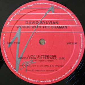 David Sylvian, Jon Hassell • Steve Jansen, Holger Czukay - Words With The Shaman - 1985