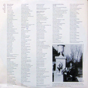 Jules Shear - The Eternal Return - 1985