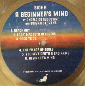 Sufjan Stevens - A Beginner's Mind