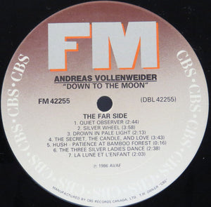 Andreas Vollenweider - Down To The Moon Vinyl Record