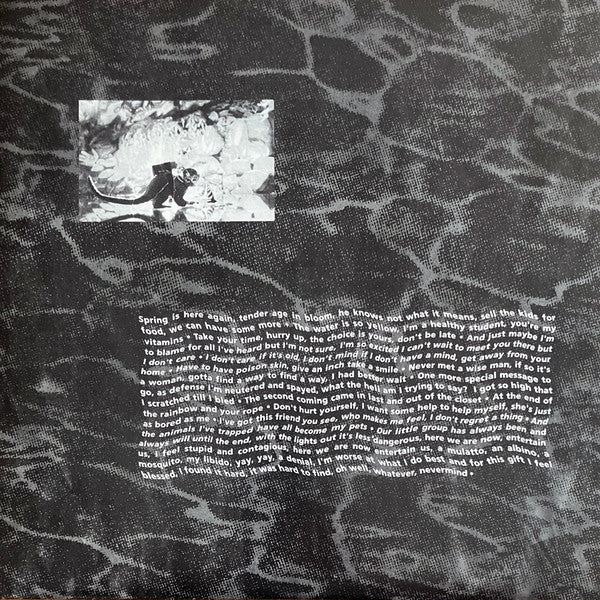 Nirvana - Nevermind