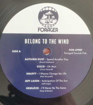 Various - Belong To The Wind  - 2021
