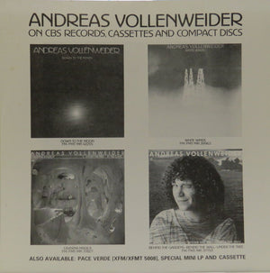 Andreas Vollenweider - Down To The Moon Vinyl Record