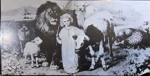 Mott The Hoople - Mad Shadows