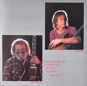 Grateful Dead, The - In The Dark - 1987