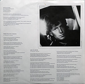 Steve Winwood - Arc Of A Diver