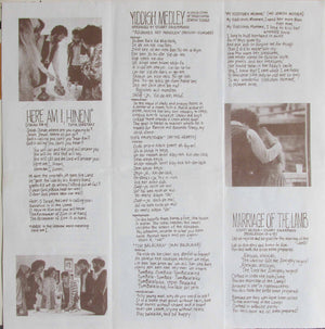 Liberated Wailing Wall, The - I Am Not Ashamed -