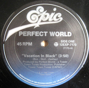 Perfect World - Vacation In Black - 1986