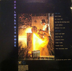 James Taylor  - Dad Loves His Work Vinyl Record