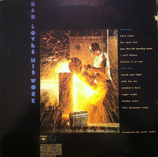 James Taylor  - Dad Loves His Work Vinyl Record