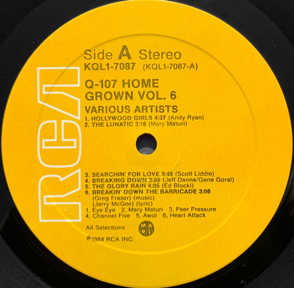 Various - Q-107 Homegrown Volume Six