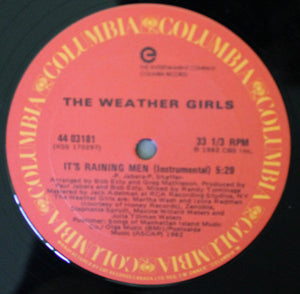 Weather Girls, The - It's Raining Men - 1982