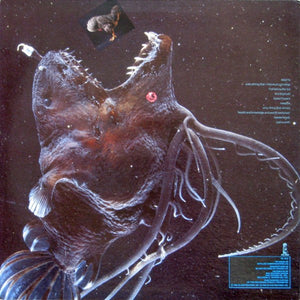 Shriekback - Oil And Gold - 1985
