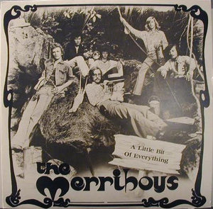 The Merriboys - A Little Bit Of Everything Vinyl Record