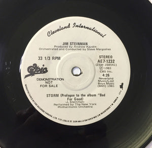 Jim Steinman - Storm / Rock And Roll Dreams Come Through