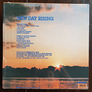 Hüsker Dü - New Day Rising -