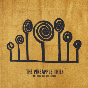 Pineapple Thief, The - Nothing But The Truth - 2021