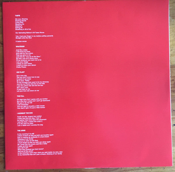 Ty Segall - First Taste - 2019