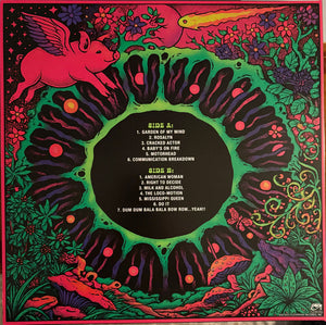 Pink Fairies, The - Covered In Pink - 2026
