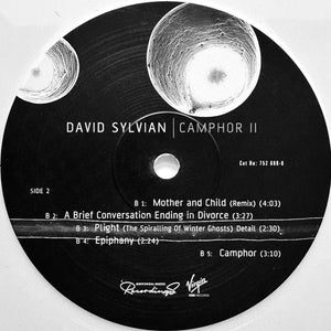 David Sylvian - Camphor II - 2025