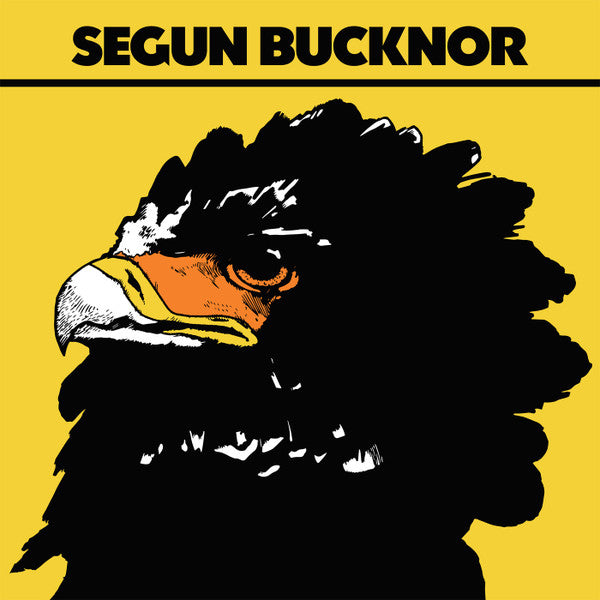 Segun Bucknor - Segun Bucknor - 2017