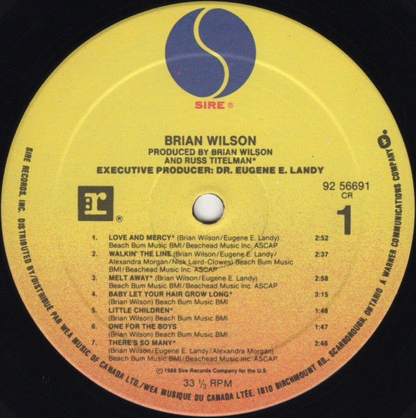 Brian Wilson - Brian Wilson - 1988