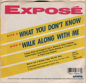 Exposé - What You Don't Know - 1989