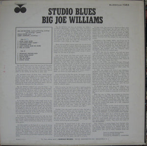 Big Joe Williams - Studio Blues - 1963