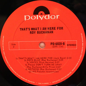 Roy Buchanan - That's What I Am Here For - 1973