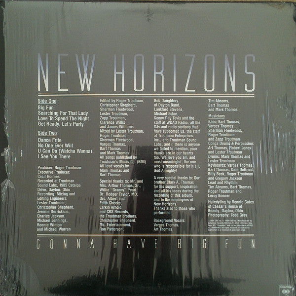 New Horizons - Gonna Have Big Fun - 2006
