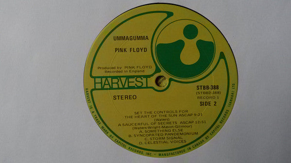 Pink Floyd - Ummagumma