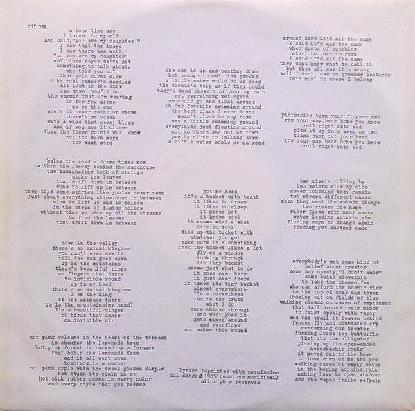 Meat Puppets - Up On The Sun - 1985