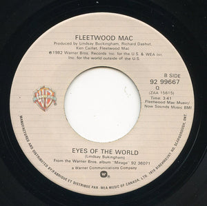 Fleetwood Mac - Hold Me Vinyl Record