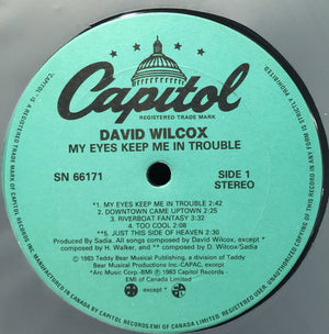 David Wilcox - My Eyes Keep Me In Trouble -