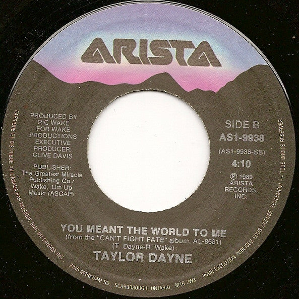 Taylor Dayne - Love Will Lead You Back