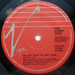 The Other Ones - We Are What We Are