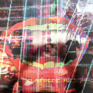 Animal Collective - Centipede Hz