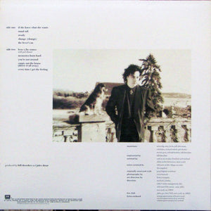 Jules Shear - The Eternal Return - 1985