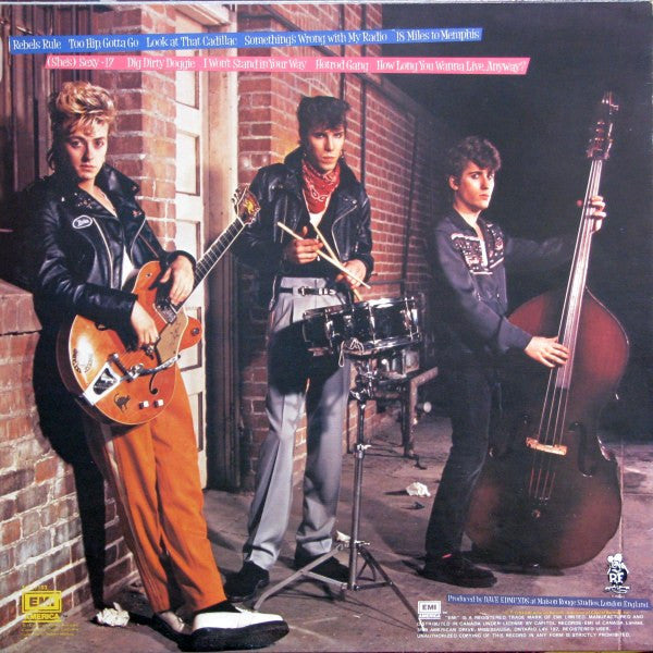 Stray Cats - Rant N' Rave With The Stray Cats Vinyl Record