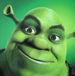 Various - Shrek - Music From The Original Motion Picture Vinyl Record