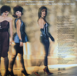 Exposé - Exposure - 1987