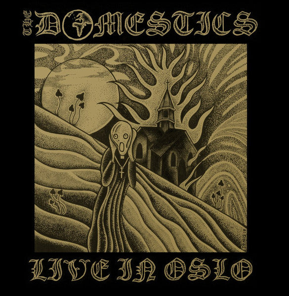 The Domestics (2) - Live In Oslo