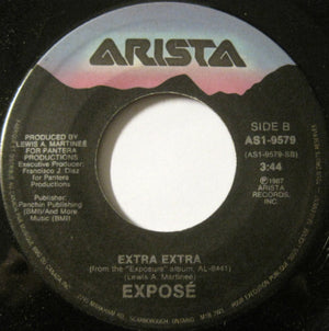 Exposé - Point Of No Return Vinyl Record