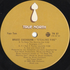 Bruce Cockburn - Stealing Fire