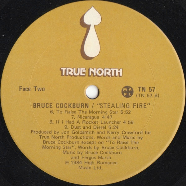 Bruce Cockburn - Stealing Fire