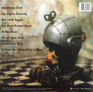 Gov't Mule - Life Before Insanity - 2013