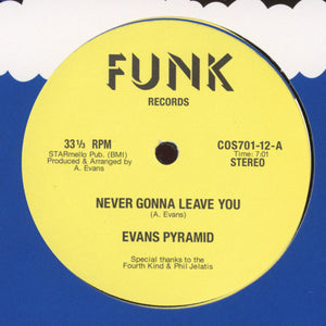 Evans Pyramid - Never Gonna Leave You / The Dip Drop Vinyl Record