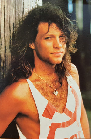Bon Jovi - Born To Be My Baby - 1988