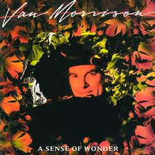 Van Morrison - A Sense Of Wonder - 1984