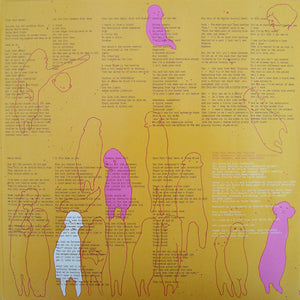 Clap Your Hands Say Yeah - Clap Your Hands Say Yeah Vinyl Record